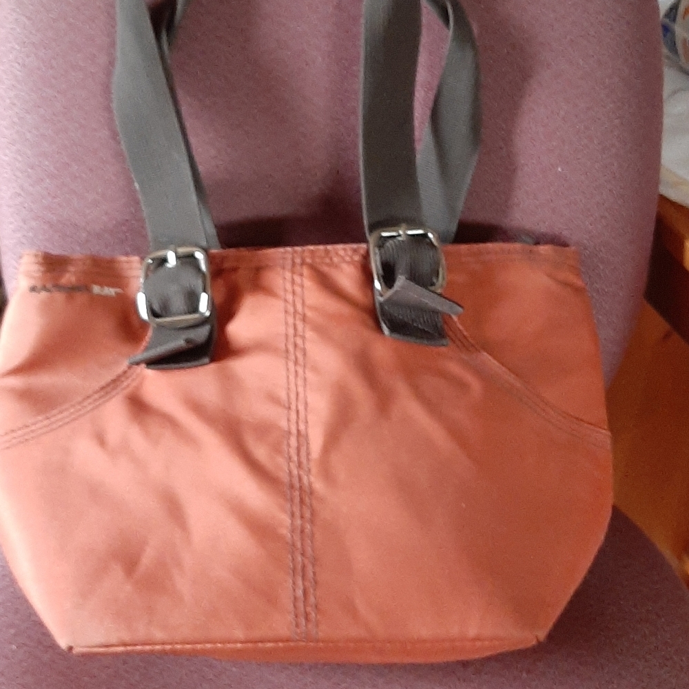 Rachel Ray Insulated bag